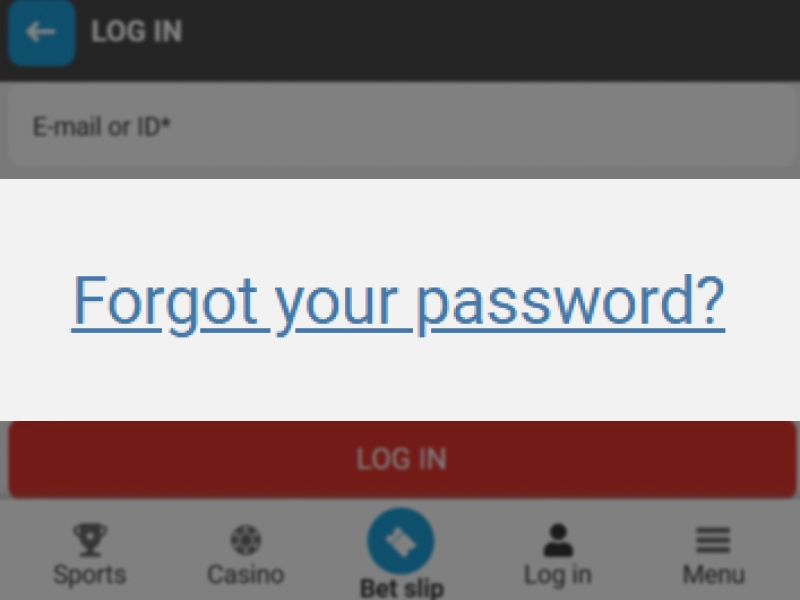 MegaPari password recovery screenshot with highlighted Forgot your password button and recovery options