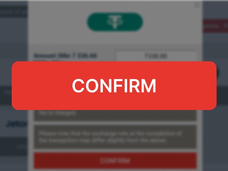 MegaPari withdrawal confirmation screenshot showing verification and payment details check