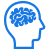 brain icon